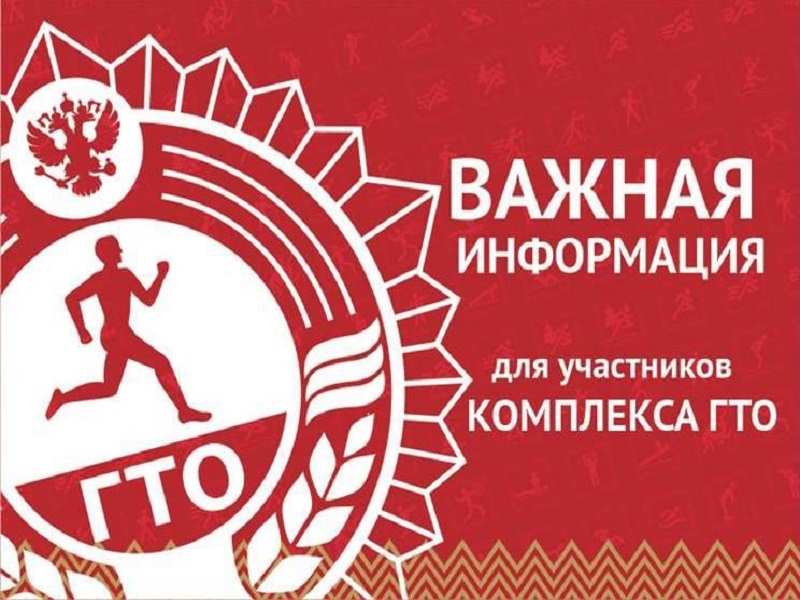 Подпиши цифровое заявление для присвоения серебряного или бронзового знака отличия по итогам квартала.